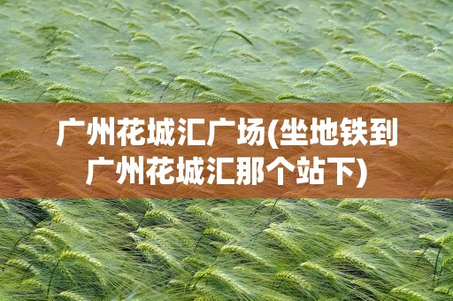 广州花城汇广场(坐地铁到广州花城汇那个站下)