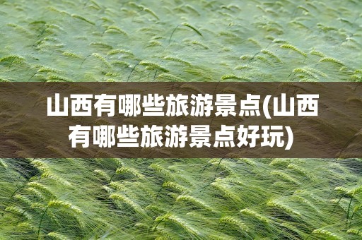 山西有哪些旅游景点(山西有哪些旅游景点好玩)