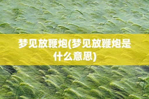 梦见放鞭炮(梦见放鞭炮是什么意思)