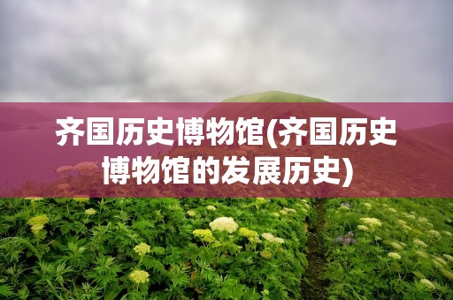 齐国历史博物馆(齐国历史博物馆的发展历史)