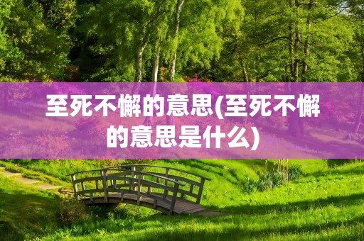 至死不懈的意思(至死不懈的意思是什么)