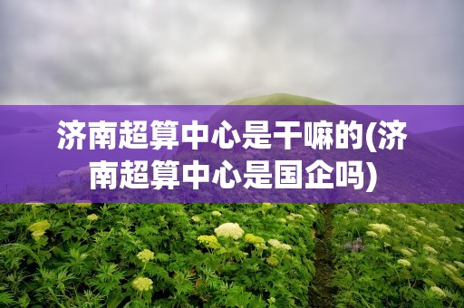 济南超算中心是干嘛的(济南超算中心是国企吗)