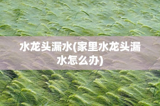 水龙头漏水(家里水龙头漏水怎么办)