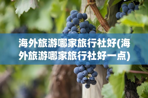 海外旅游哪家旅行社好(海外旅游哪家旅行社好一点)