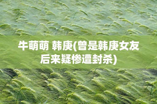 牛萌萌 韩庚(曾是韩庚女友后来疑惨遭封杀)