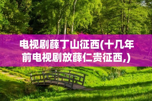 电视剧薛丁山征西(十几年前电视剧放薛仁贵征西,)