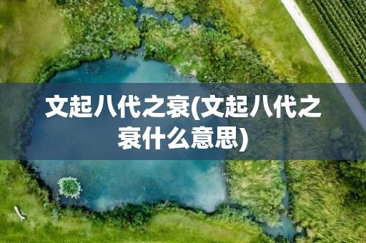 文起八代之衰(文起八代之衰什么意思)