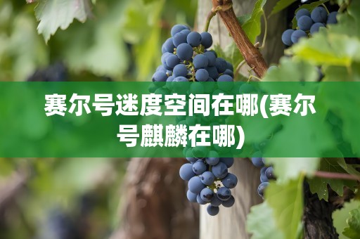 赛尔号迷度空间在哪(赛尔号麒麟在哪)