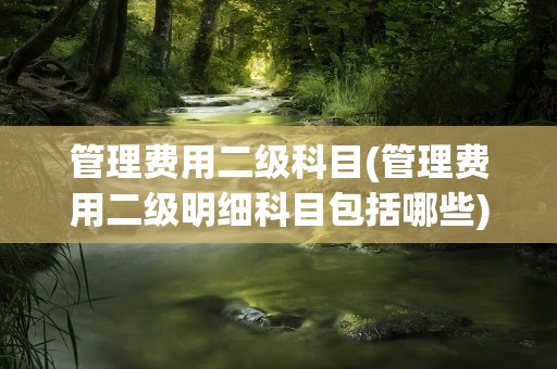 管理费用二级科目(管理费用二级明细科目包括哪些)