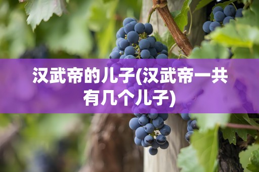 汉武帝的儿子(汉武帝一共有几个儿子)