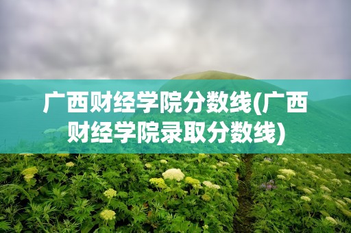 广西财经学院分数线(广西财经学院录取分数线)