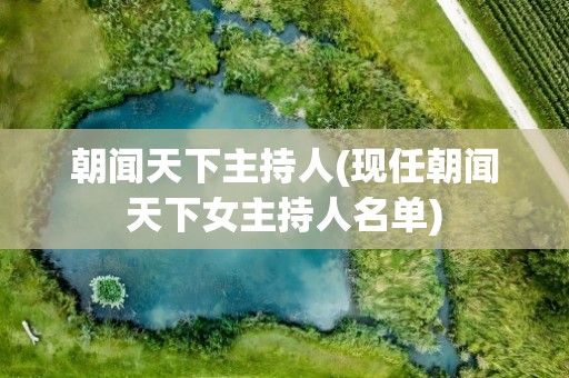 朝闻天下主持人(现任朝闻天下女主持人名单)