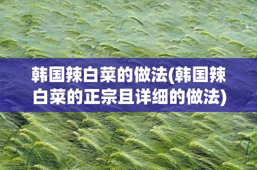 韩国辣白菜的做法(韩国辣白菜的正宗且详细的做法)
