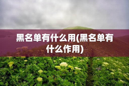 黑名单有什么用(黑名单有什么作用)