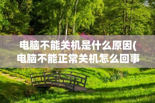 电脑不能关机是什么原因(电脑不能正常关机怎么回事)