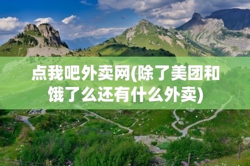 点我吧外卖网(除了美团和饿了么还有什么外卖)