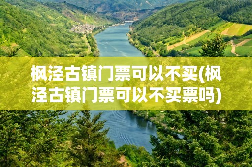 枫泾古镇门票可以不买(枫泾古镇门票可以不买票吗)