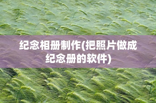 纪念相册制作(把照片做成纪念册的软件)
