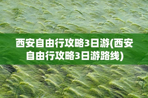 西安自由行攻略3日游(西安自由行攻略3日游路线)