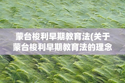 蒙台梭利早期教育法(关于蒙台梭利早期教育法的理念)