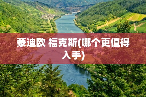 蒙迪欧 福克斯(哪个更值得入手)