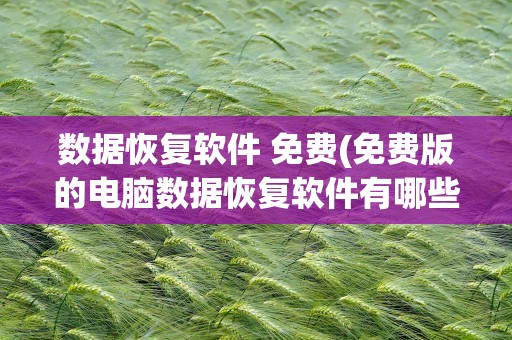 数据恢复软件 免费(免费版的电脑数据恢复软件有哪些)