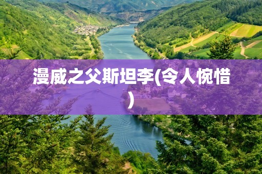 漫威之父斯坦李(令人惋惜)