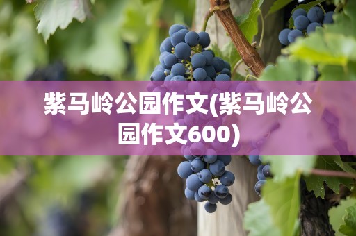 紫马岭公园作文(紫马岭公园作文600)