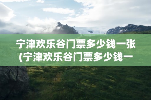 宁津欢乐谷门票多少钱一张(宁津欢乐谷门票多少钱一张票)