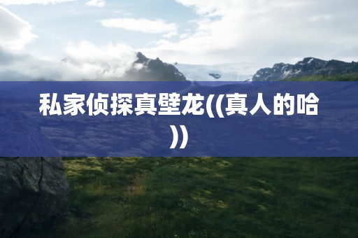 私家侦探真壁龙((真人的哈))