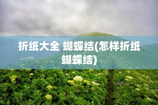 折纸大全 蝴蝶结(怎样折纸蝴蝶结)