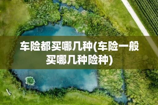 车险都买哪几种(车险一般买哪几种险种)
