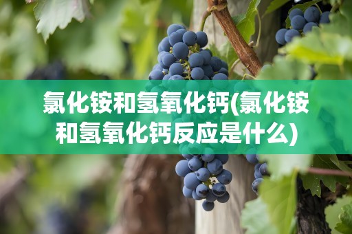氯化铵和氢氧化钙(氯化铵和氢氧化钙反应是什么)