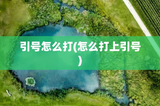 引号怎么打(怎么打上引号)