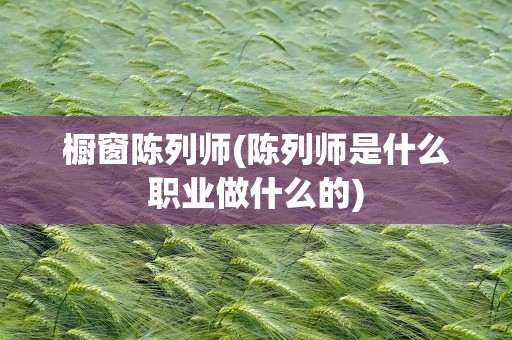 橱窗陈列师(陈列师是什么职业做什么的)