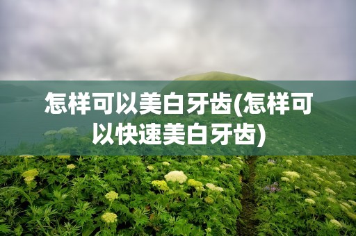 怎样可以美白牙齿(怎样可以快速美白牙齿)