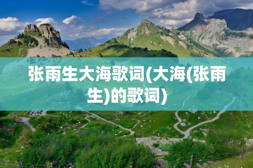 张雨生大海歌词(大海(张雨生)的歌词)