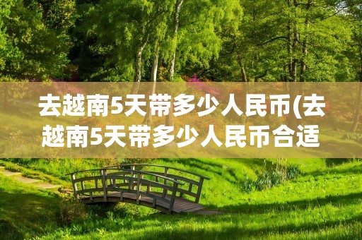 去越南5天带多少人民币(去越南5天带多少人民币合适)