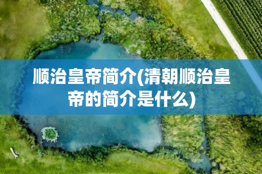 顺治皇帝简介(清朝顺治皇帝的简介是什么)