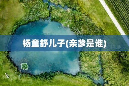 杨童舒儿子(亲爹是谁)