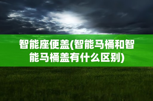 智能座便盖(智能马桶和智能马桶盖有什么区别)