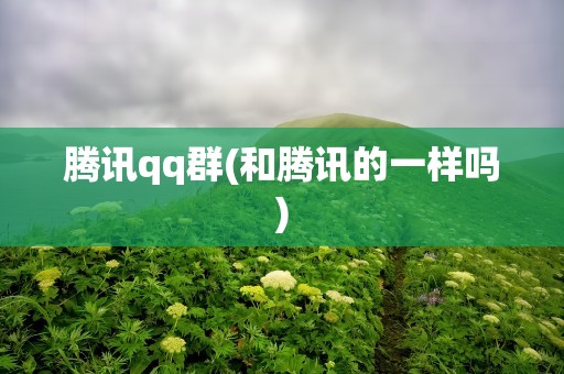 腾讯qq群(和腾讯的一样吗)