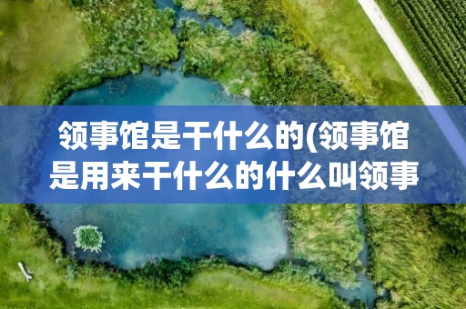 领事馆是干什么的(领事馆是用来干什么的什么叫领事馆)