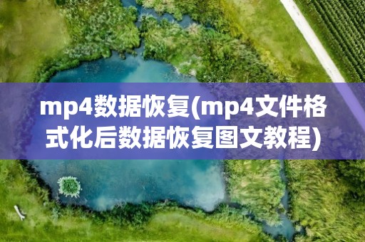 mp4数据恢复(mp4文件格式化后数据恢复图文教程)