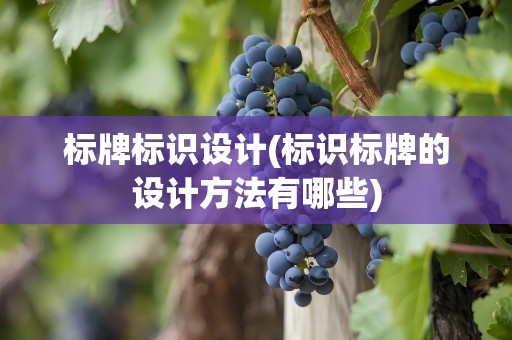 标牌标识设计(标识标牌的设计方法有哪些)