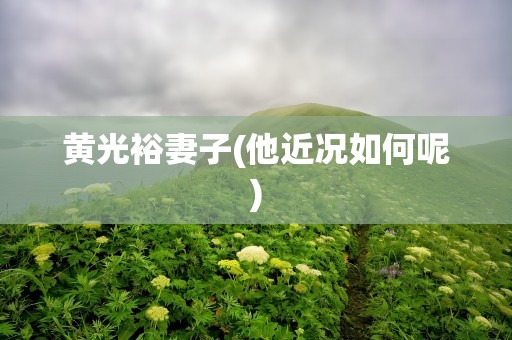黄光裕妻子(他近况如何呢)