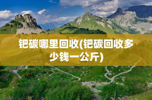 钯碳哪里回收(钯碳回收多少钱一公斤)
