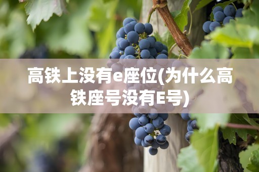 高铁上没有e座位(为什么高铁座号没有E号)