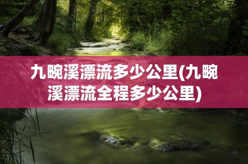 九畹溪漂流多少公里(九畹溪漂流全程多少公里)