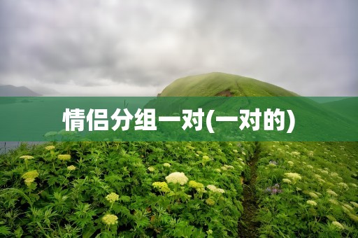 情侣分组一对(一对的)